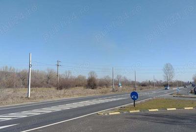 Teren de 20000 mp, în Valea Ursului (Tâmna) - 4