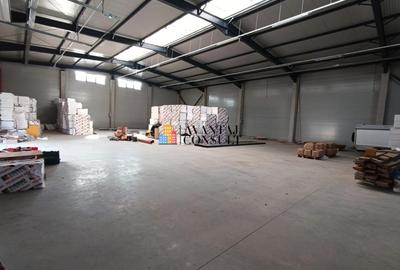 Pantelimon,Biruintei, Bucuresti - 5