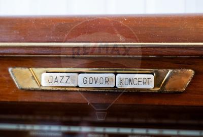 Vanzare vila, Stefesti-Prahova - 23