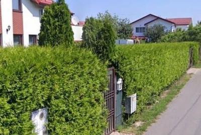 Teren de 6700 mp, în Mogoșoaia - 2