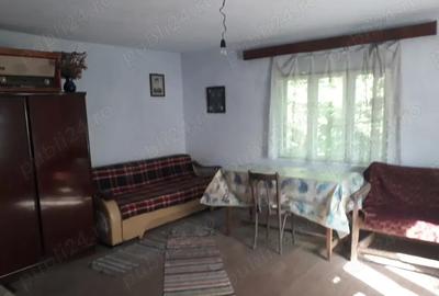 Vand casa si teren 842 mp, l?a strada - Comuna Bunesti, jud. Valcea - 8