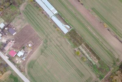 Teren intravilan de Balta Neagra l Nuci l Codrii Vlasiei Teren intravilan de Balta Neagra l Nuci l Codrii Vlasiei - 6