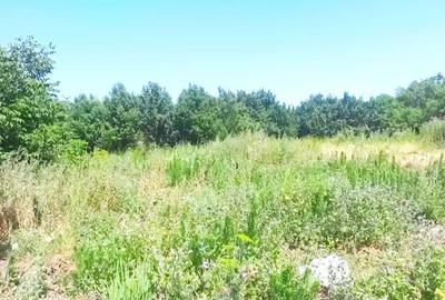 Casă cu 3 camere cu Teren 1500 Mp în Nădab - 4