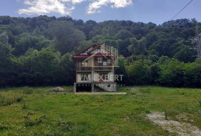 Casă cu 5 camere cu Teren 5000 Mp în Central - 1