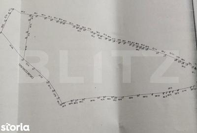 Teren de 10000 mp, în Dorna-Arini - 1