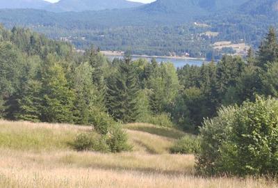 Teren Colibita - 2 hectare - acces direct din drumul 173 D - 2