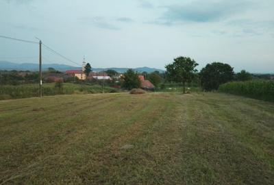 Teren Construcții intravilan de 3687 mp, în Dumbrava - 10