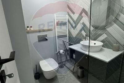 Apartament cu 3 camere de inchiriat in zona Gusterita Apartament cu 3 camere de inchiriat in zona Gusterita - 10