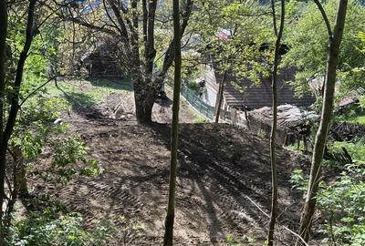 Casă cu 3 camere în Central - 7