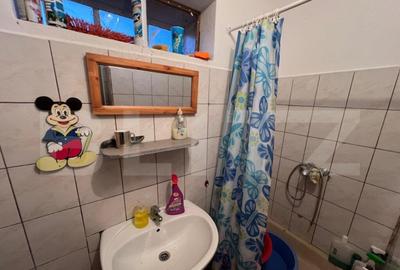 Casă cu 2 camere cu Teren 6660 Mp în Central