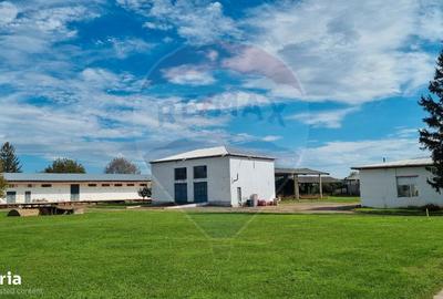 Spațiu comercial, de 11,500 mp, în Central - 3