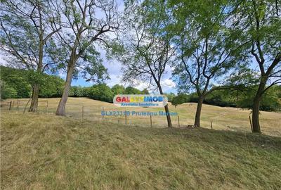 Teren de 2700 mp, în Curtea de Argeș - 5