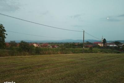 Spațiu comercial, în Răchita - 6