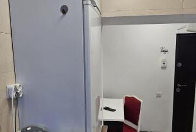 INEL 2 . GARSONIERA DECOMANDATA CU CENTRALA GAZE - 3