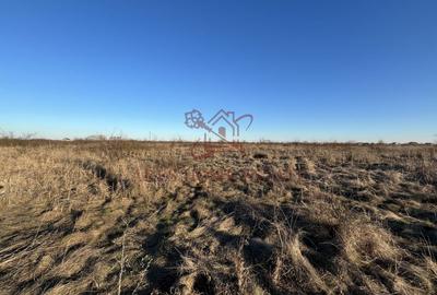 Teren agricol extravilan de 5000 mp, în Moșnița Veche - 3