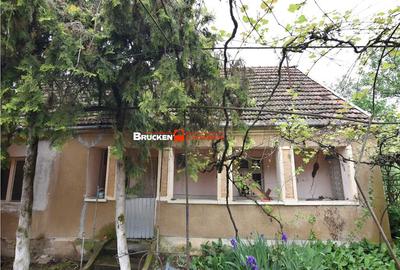 Casă cu 2 camere cu Teren 3132 Mp în Almașu Mic (Balc) - 13