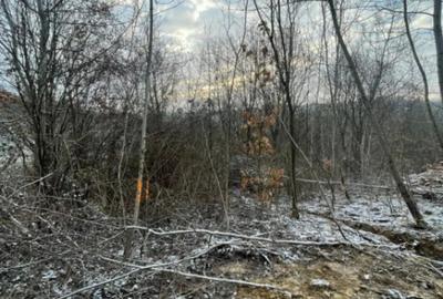 Teren de 866 mp, în Tăuții-Măgherăuș