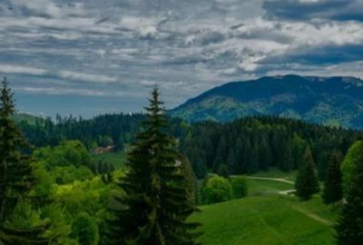 SUPERB Teren intravilan de 2350mp in Poiana Mica Brasov - 1