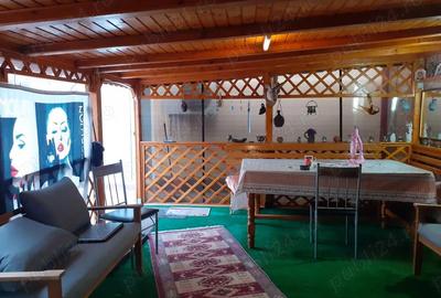 Vanz. P + M mobilata si utilata, caramida, 500.mp.,d.9 ml, 2 garaje str. Grivitei cu G.E.Grigorescu - 17