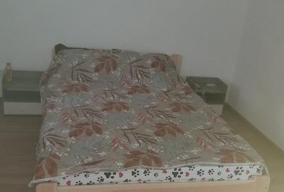 VAND CASA SI TEREN 1500 MP IN COMUNA MANZALESTI, JUDET BUZAU - 5
