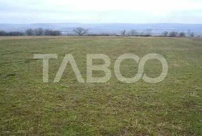 Teren de 3000 mp, în Paltin - 2