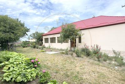 Casa 4 camere, Teren 3.489 mp Str.Petofi Șandor Nr.99 - Carei - 2