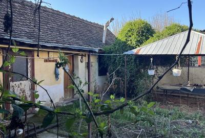 Casă cu 3 camere în Șag - 2