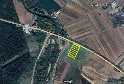 Teren Construcții extravilan de 14103 mp, în Stoenești (Florești-Stoenești) - 1