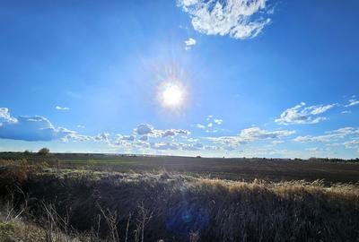 Teren Caciulati / 30.200 mp / D: 70 m / comision 0% Teren Caciulati / 30.200 mp / D: 70 m / comision 0% - 6