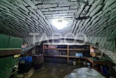 Casa cu spatiu comercial de vanzare in Sebes zona centrala - 16