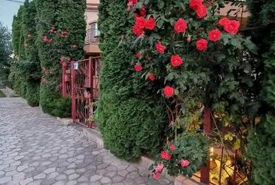 Casă cu Teren 400 Mp în Nord - 3