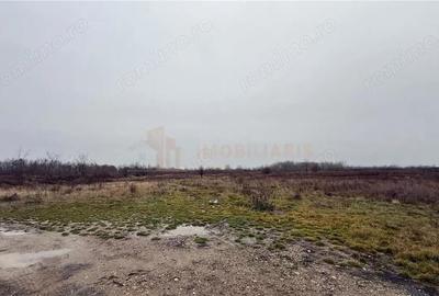 Teren de 101 mp, în Tăuții-Măgherăuș