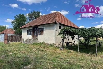 Casă cu 2 camere cu Teren 3208 Mp în Cărăndeni - 1