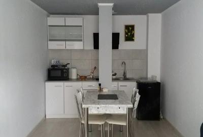 Apartament cu 2 camere nedecomandat în Poiana Țapului - 3