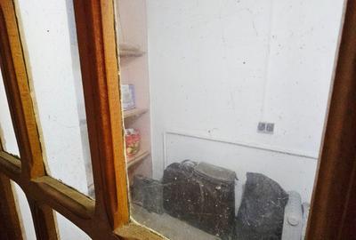 Vanzare proprietate mixtă – Casă + spațiu birou, Ultracentral - 32