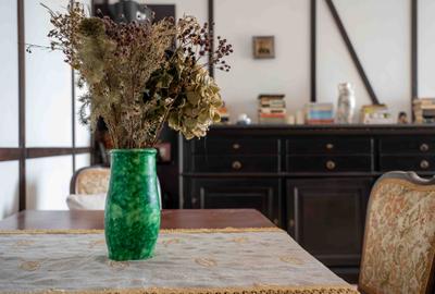 Casă individuală cu 10 camere cu Garaj în Chitila - 32