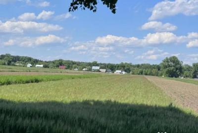 Teren de 4000 mp, în Frătăuții Vechi