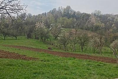 Spațiu comercial, în Oituz - 3