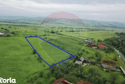 Teren de 6956 mp, în Sâncraiu - 3