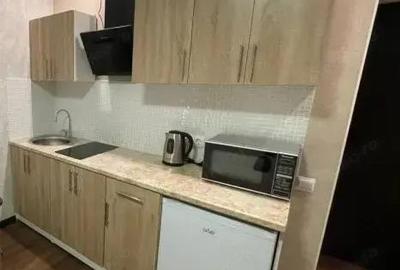 De inchiriat apartament cu o camera in zona Buziasului - 2