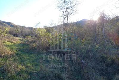 Teren de 363 mp, în Fântânele - 4