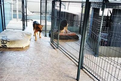 Casa individuala de vanzare cu priveliste frumoasa si garaj - 16