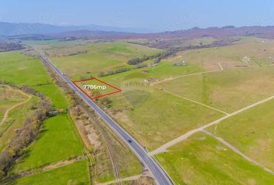 Teren de 7786 mp, în Vlădeni - 2