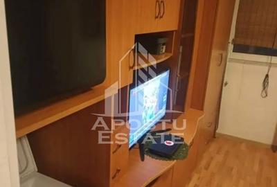 Garsonieră semidecomandată în Buziașului - 2