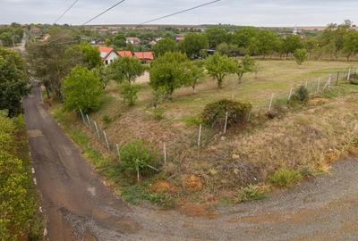 Teren intravilan 1584 mp in Murani - ideal pentru casa sau pensiune - 11
