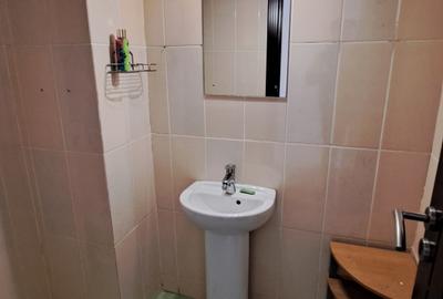 APARTAMENT 3 CAMERE - SUPRAFATA GENEROASA - 15