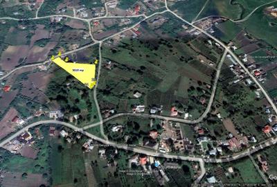 Spațiu comercial, în Bogdănești