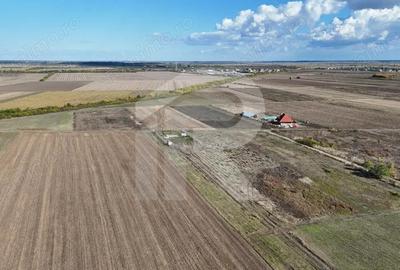 Refugiu la marginea padurii 1000 mp de liniste in Cocani. - 2