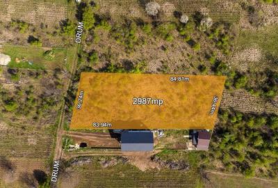 Teren intravilan de 2987 mp, în Ștefăneștii de Jos - 6