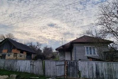 Casa + teren intravilan 6600mp A?chileu Mare - 2